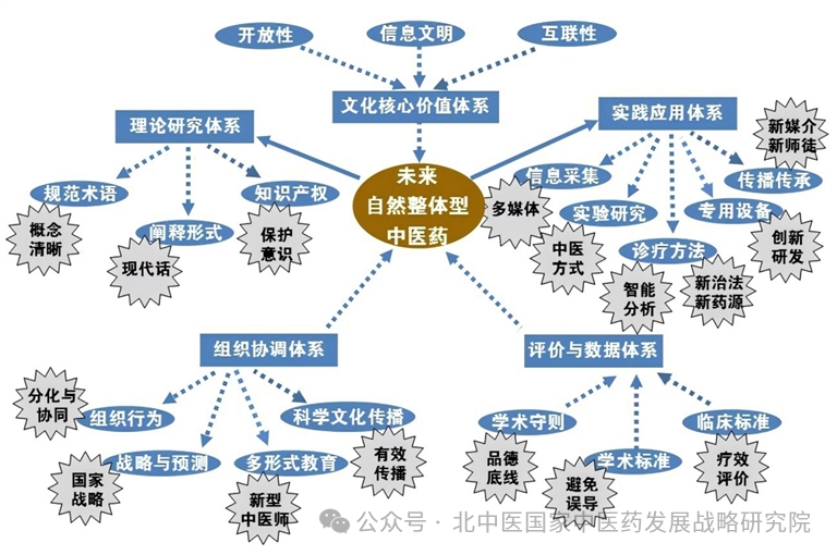 国家中医药发展与战略研究院